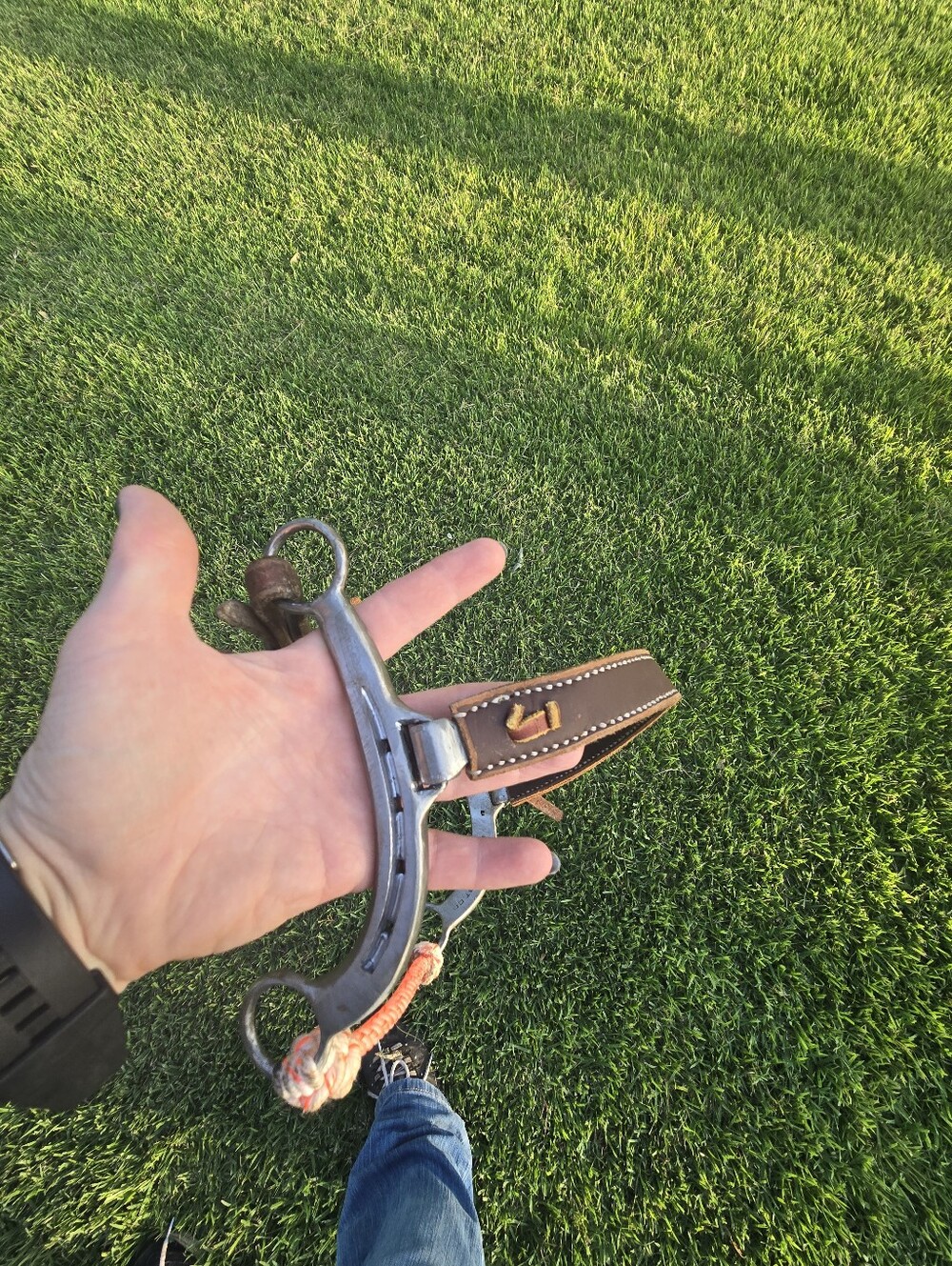 Hackamore - Horseshoe Shanks With Leather Noseband